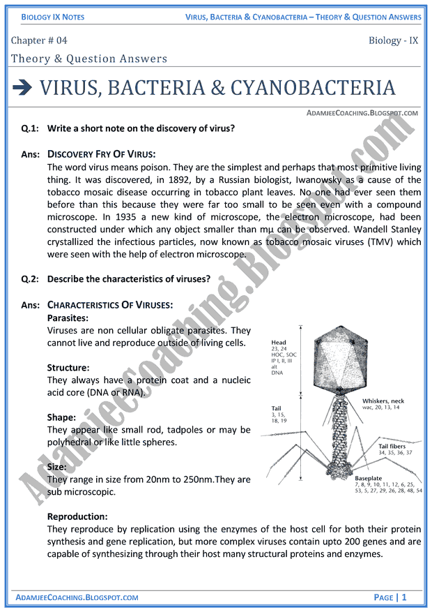 virus-bacteria-and-cyanobacteria-theory-notes-and-question-answers-biology-notes-for-class-9th