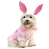 Dog Easter Costume2