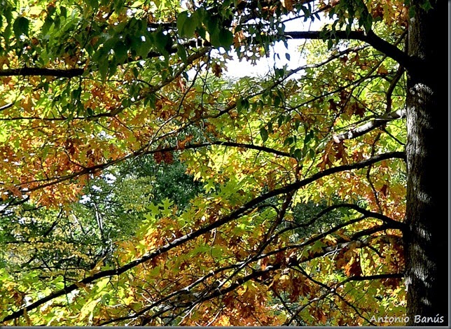 8_DSC3808x1
