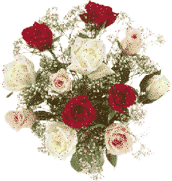 blom82[1]