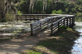 Pedrick Pond Park Trail