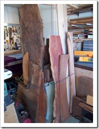 New Woods2