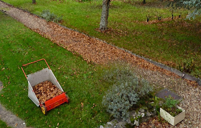 small shed for lawn mower