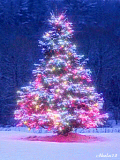 50 Gambar DP BBM Pohon natal 2018 Bergerak Gif Cantik dan indah