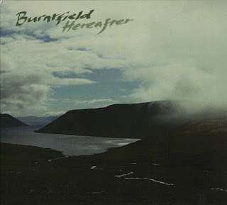 Burntfield "Organic Waves" EP 2013 + "Cold Heat"2015 EP + "Hereafter"2018 + "Impermanence"2021 Finland Prog Rock,AOR