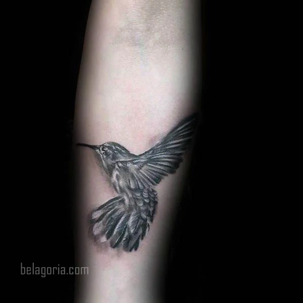 imagen del Tatuaje de un Colibrí