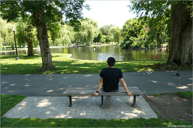 Banco del Boston Public Garden