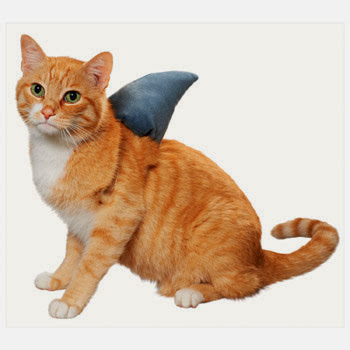 shark cat costume, halloween costume for pet