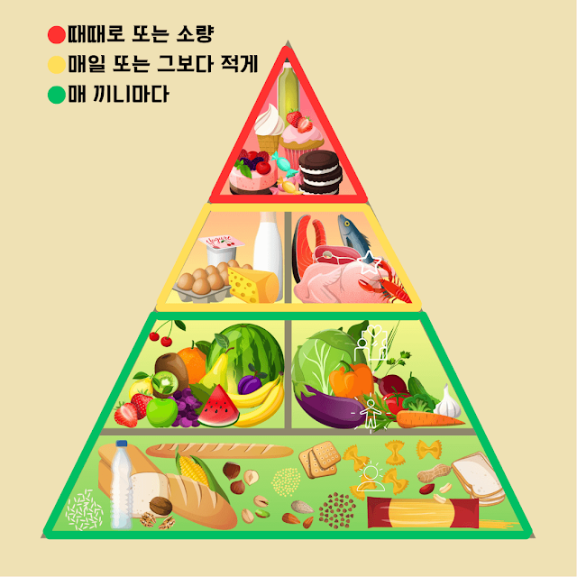 피라미드 형식으로 음식 섭취량을 표기
