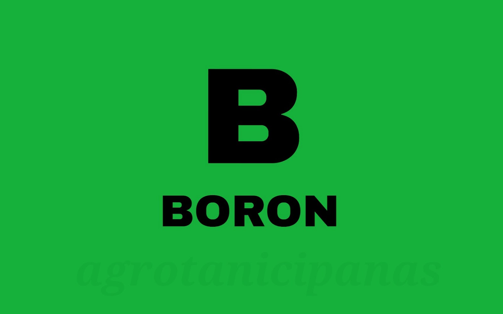 Pengertian boron yakni secara umum pengertian boron merupakan boron mikronutrien atau un Fungsi dan Manfaat Boron untuk Tanaman
