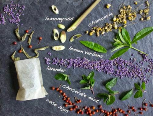 Best Herbs To Use In Teas
