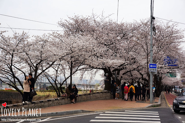 汝矣島輪中路