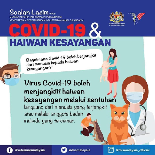 #Covid19 Dan Haiwan Kesayangan 