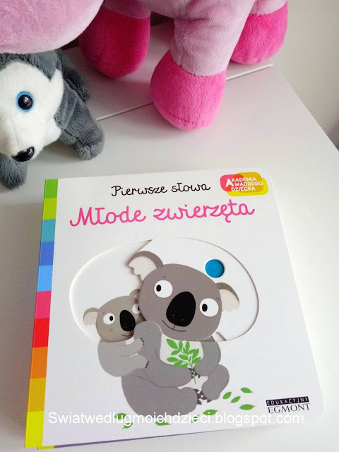 Młode zwierzęta