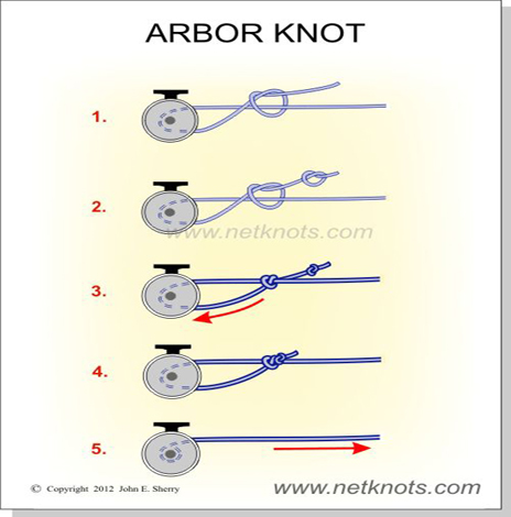 Arbor Tie1