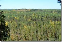 Jaamankangas