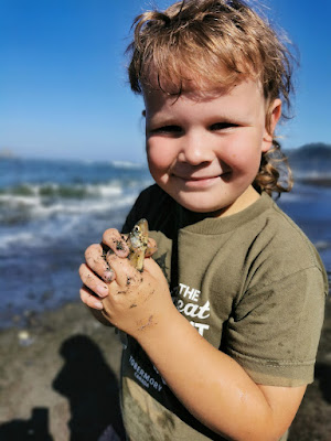 Catching fish by hand at Olympic National Park