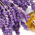 Usefulness of Lavender to the Skin, Hair and Body