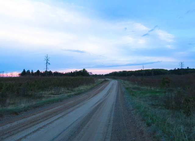 Grayling Forest, Michigan, USA