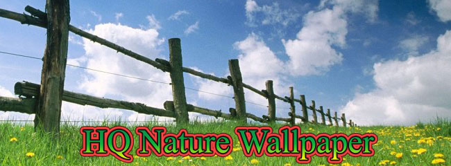 high quality nature wallpapers. High Quality Nature Wallpaper