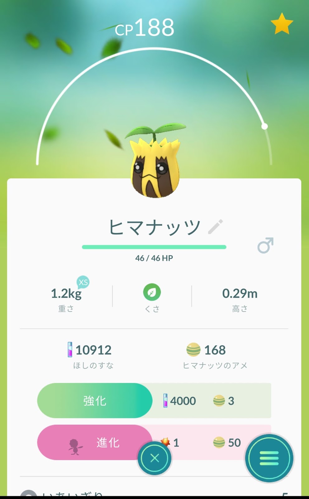 ポケモンgo日記 Pokemon Go Diary In Japan ヒマナッツ を たいようのいし で キマワリ に進化させてみた