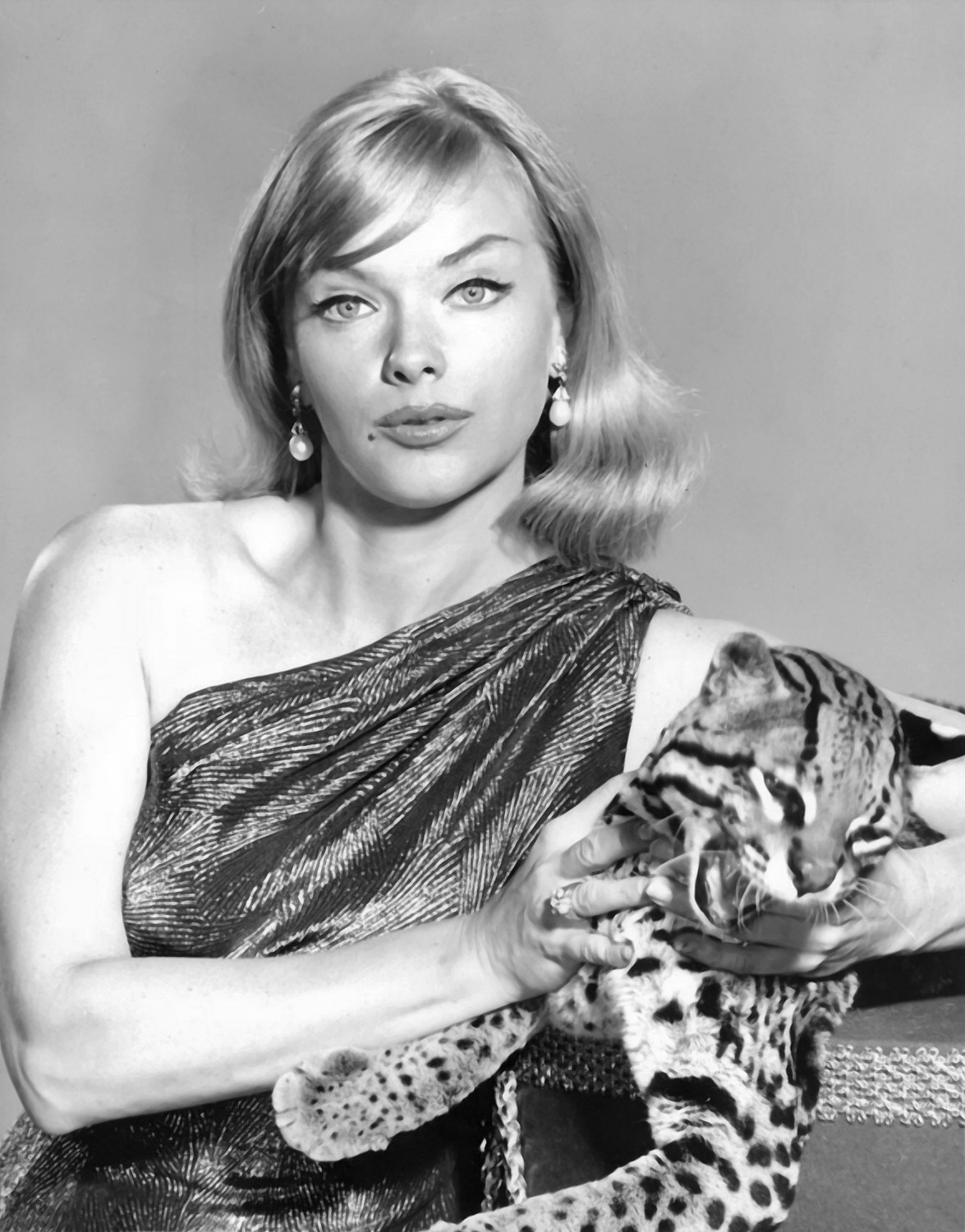 Anne Francis - Picture Actress