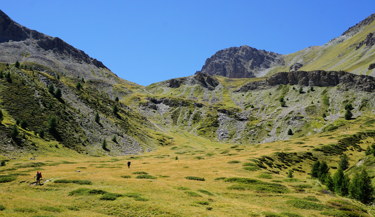 Alpine meadow before Col des Estronques