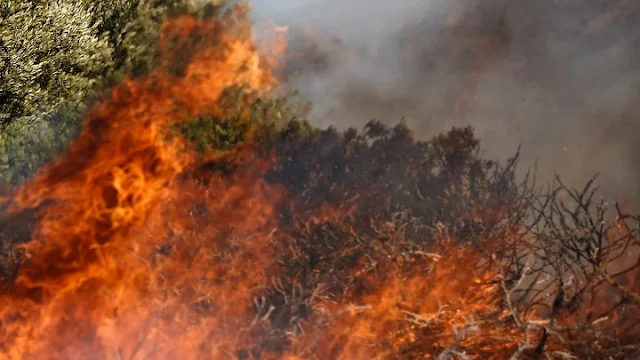 Έντονη μυρωδιά καμένου στην Αργολίδα από μεγάλη φωτιά στο Χιλιομόδι Κορινθίας