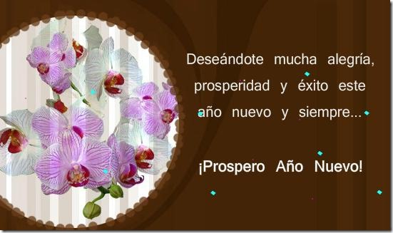 00 - feliz 2013 (23)