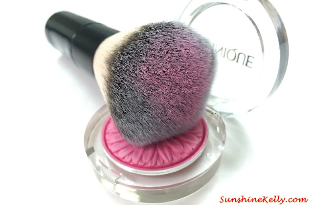 Portable Professional Powder & Blusher Brush Review, Cosmetics brush review, cosmetics brush, born pretty