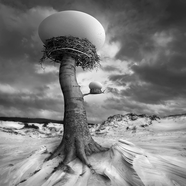 Fotografia Surreal de Dariusz Klimczak 