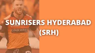 Sunrisers Hyderabad owner