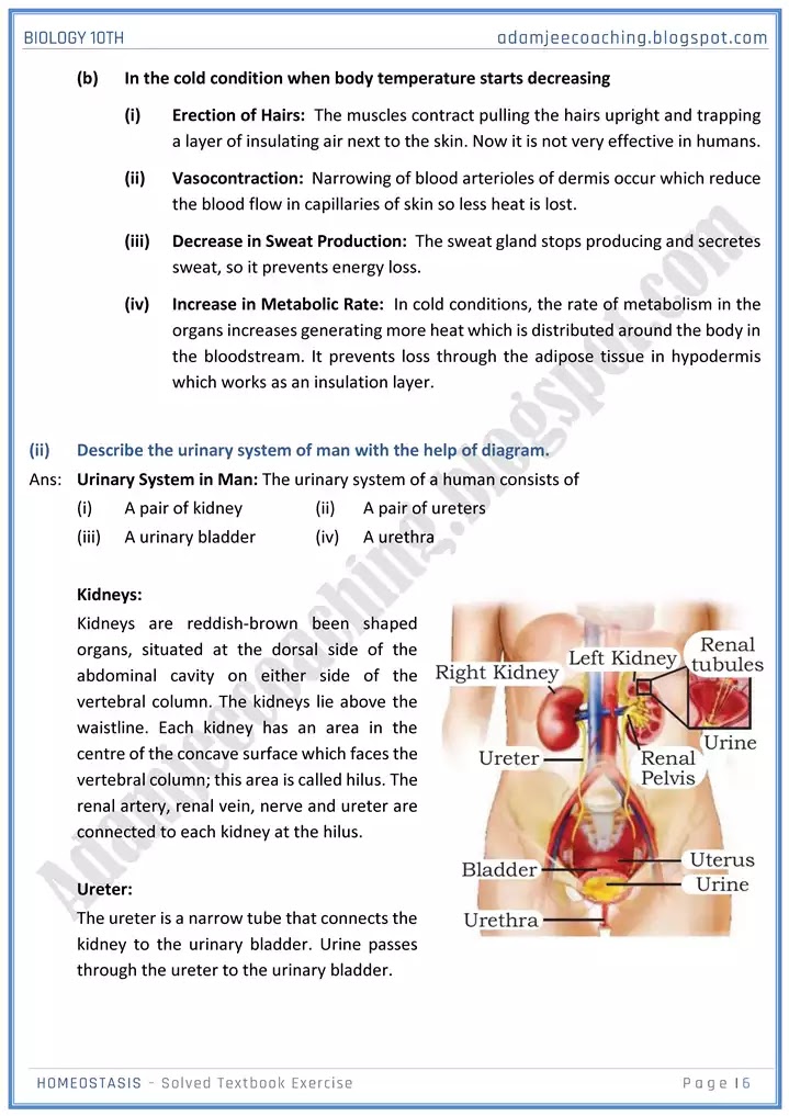 homeostasis-solved-textbook-exercise-biology-10th