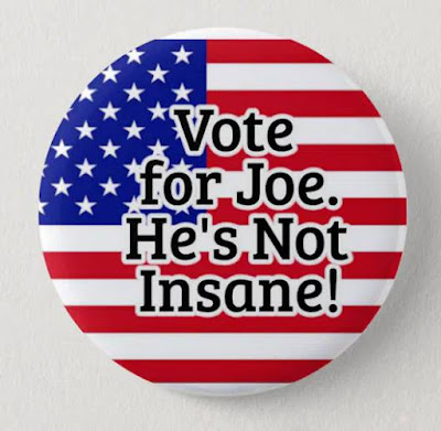 Vote 4 Joe. He's Not Insane.  button Zazzle Gregvan