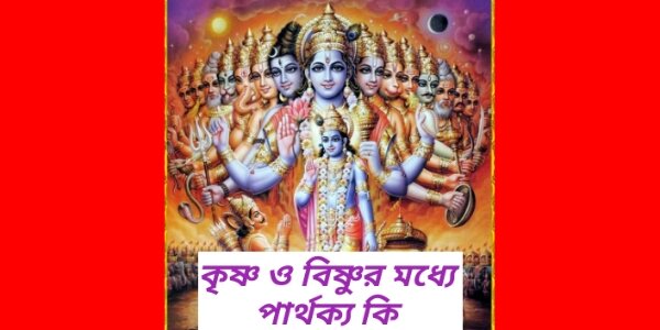 কৃষ্ণ এবং বিষ্ণুর মধ্যে পার্থক্য কি ? What Is The Difference Between Krishna And Vishnu ?