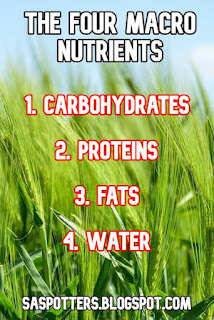 The four macro nutrients