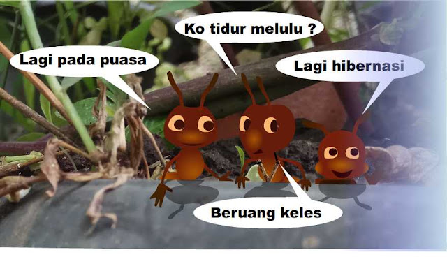 puasa+bukan+hibernasi