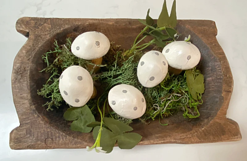 mushroom garden in small dough bowl