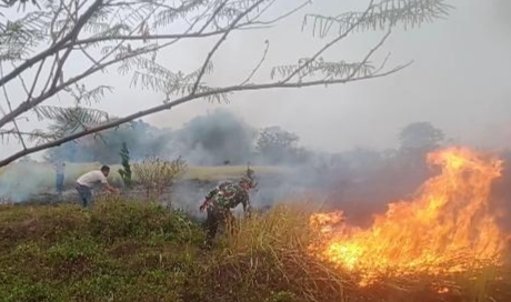 Kerja Keras Babinsa Koramil 0602-19/Cikande Bersama Masyarakat dan Damkar Berhasil Padamkan Kebakaran Lahan