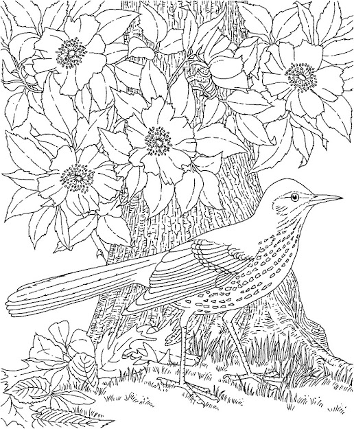 Coloring Pages For Adults Wallpapers Coloring Pages For Adults Images  Desktop High Definition Wallpapers