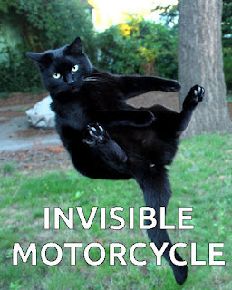 invisible motorcycle cat meme