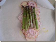 SS Asparagus version