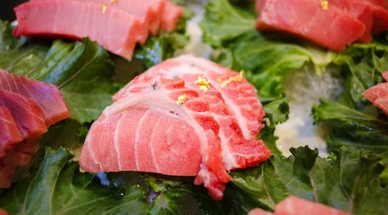 daging segar ikan tuna