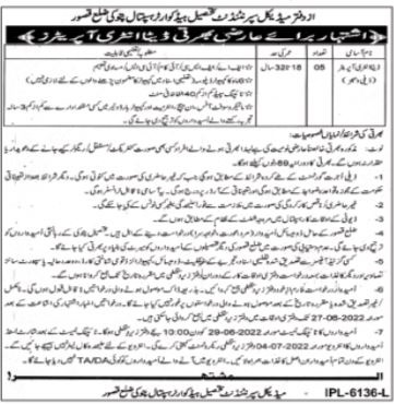 Latest Tehsil Headquarter Hospital Data Entry Posts Pattoki 2022