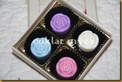 Coklat 16.3.2011 060