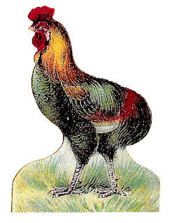 bird rooster chicken clipart image digital download free transfer craft