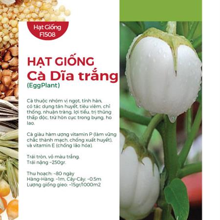 Hạt giống Cà dĩa trắng 444AQ