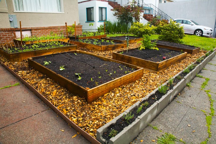 He Started With Some Boxes, 60 Days Later, The Neighbors Could Not Believe What He Built - Cinder blocks and wood chips fill in the rest of the lawn.