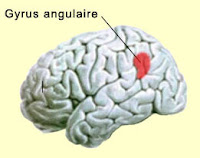 neuroscience gerstmann dysgraphie