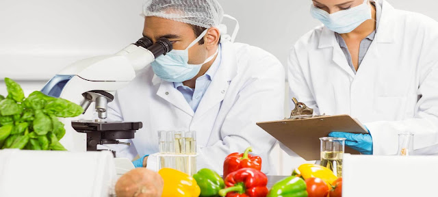 Food Safety Products and Testing Market